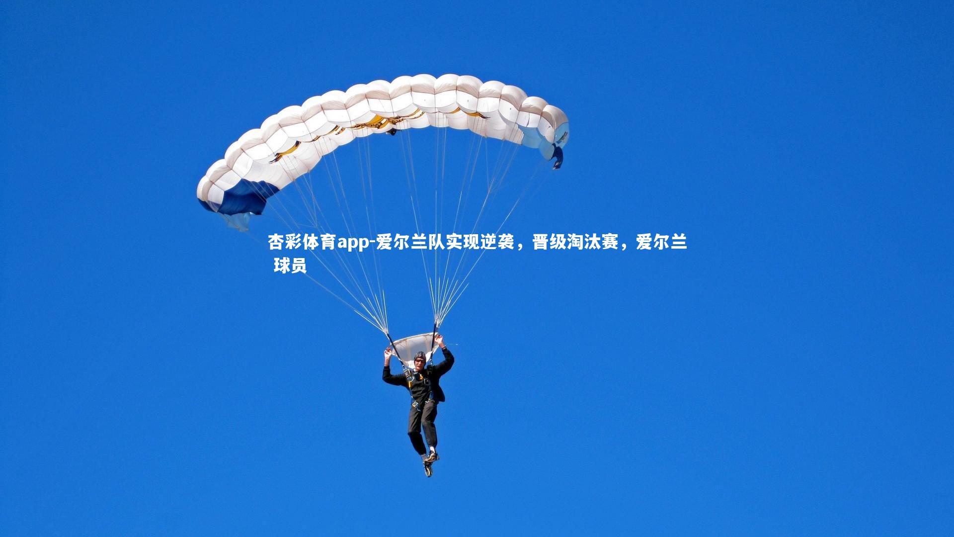 爱尔兰队实现逆袭,晋级淘汰赛,爱尔兰 球员