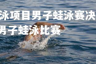 杏彩体育app-游泳项目男子蛙泳赛决赛上演精彩对决，世界游泳锦标赛男子蛙泳比赛